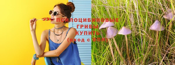 молекула духа Абинск