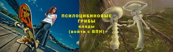 прущая мука Абаза